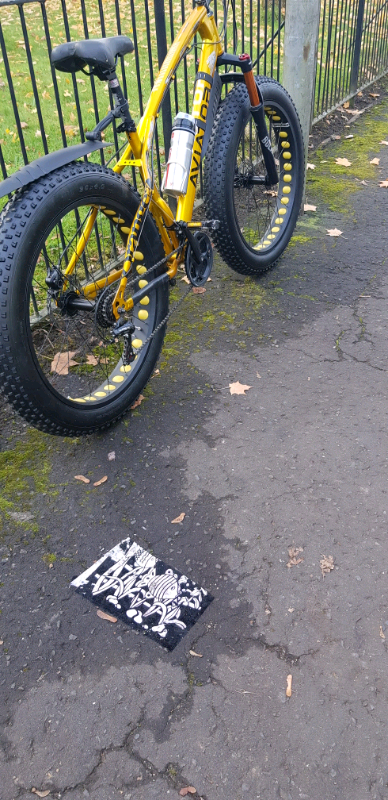 aviator fat bike